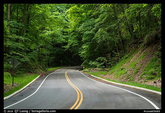 Road in forest. Cuyahoga Valley National Park (color)