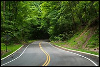 Road in forest. Cuyahoga Valley National Park ( color)