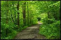 Trail. Cuyahoga Valley National Park ( color)