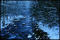 River in snowy forest, Tennessee. Great Smoky Mountains National Park, USA. (color)