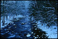 River in snowy forest, Tennessee. Great Smoky Mountains National Park, USA.