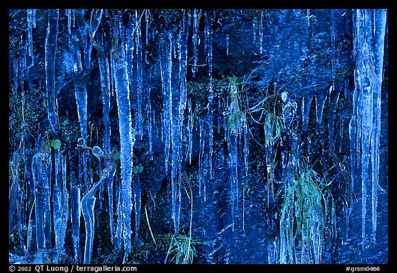 Icicles curtain, Tennessee. Great Smoky Mountains National Park (color)