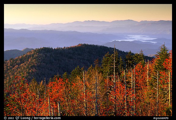 Trees in fall foliage and ridges from Clingman's dome at sunrise, North Carolina. Great Smoky Mountains National Park (color)