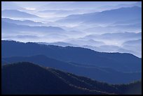 Blue ridges and valley from Clingman's dome, early morning, North Carolina. Great Smoky Mountains National Park, USA. (color)
