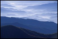 Blue ridges and valley from Clingman's dome, early morning, North Carolina. Great Smoky Mountains National Park, USA.