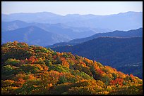 Pictures of Great Smoky Mountains NP