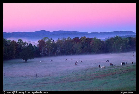 Pasture at dawn with rosy sky, Cades Cove, Tennessee. Great Smoky Mountains National Park, USA.