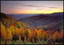 Row of trees, valley and ridges in fall color at sunset, North Carolina. Great Smoky Mountains National Park, USA.