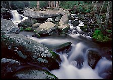 Stream, boulders, and trees, Roaring Fork, Tennessee. Great Smoky Mountains National Park, USA.