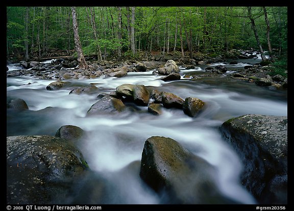 Confluence of the Little Pigeon Rivers, Tennessee. Great Smoky Mountains National Park (color)