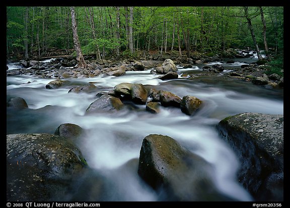 Confluence of the Little Pigeon Rivers, Tennessee. Great Smoky Mountains National Park, USA.