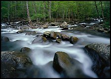 Confluence of the Little Pigeon Rivers, Tennessee. Great Smoky Mountains National Park, USA.