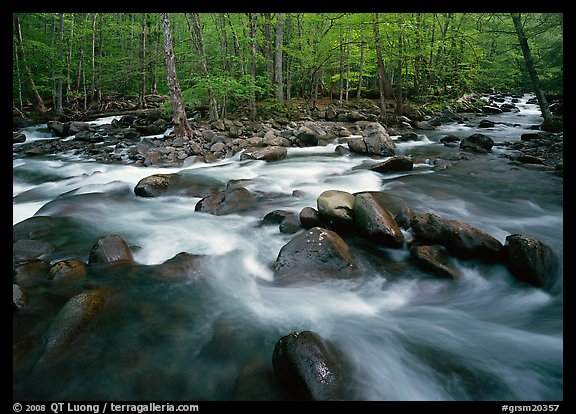 Confluence of the Middle Prong of the Little Pigeon River, Tennessee. Great Smoky Mountains National Park, USA.