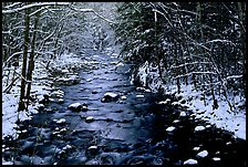 Snowy creek in winter. Great Smoky Mountains National Park, USA.