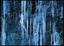 Icicles and rock wall. Great Smoky Mountains National Park, USA.