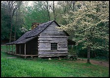 Noah Ogle log cabin in the spring, Tennessee. Great Smoky Mountains National Park, USA.
