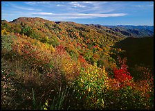 Hillsides covered with trees in autumn color near Newfound Gap, afternoon, North Carolina. Great Smoky Mountains National Park, USA.