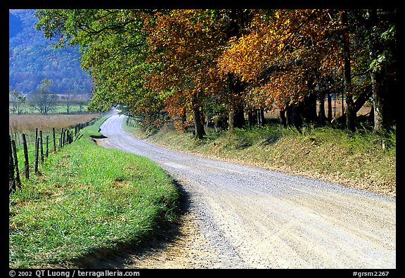 Gravel road in autumn, Cades Cove, Tennessee. Great Smoky Mountains National Park (color)