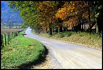 Gravel road in autumn, Cades Cove, Tennessee. Great Smoky Mountains National Park, USA.