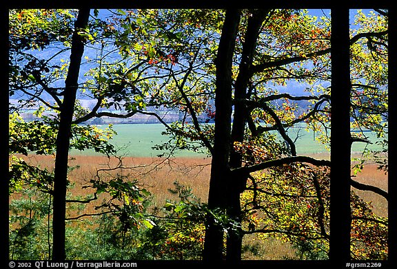 Meadows seen through trees, Cades Cove, Tennessee. Great Smoky Mountains National Park (color)