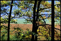 Meadows seen through trees, Cades Cove, Tennessee. Great Smoky Mountains National Park, USA.