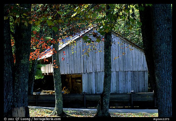 Barn in fall, Cades Cove, Tennessee. Great Smoky Mountains National Park, USA.