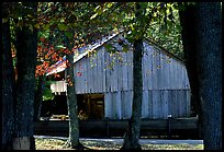 Barn in fall, Cades Cove, Tennessee. Great Smoky Mountains National Park, USA. (color)