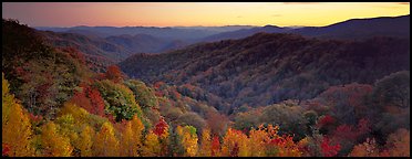 Appalachian autunm landscape of hills with trees in colorful foliage at sunset. Great Smoky Mountains National Park (Panoramic color)