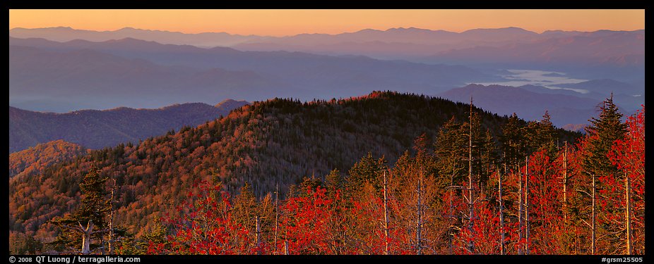 Trees and distant mountaintop ridges at sunrise. Great Smoky Mountains National Park (color)