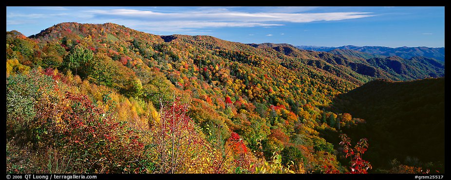 Appalachian hills covered with trees in autumn colors. Great Smoky Mountains National Park (color)