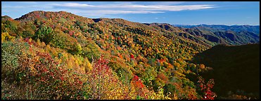 Appalachian hills covered with trees in autumn colors. Great Smoky Mountains National Park (Panoramic color)