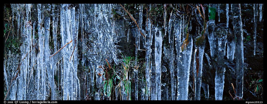 Rock with icile tapestry. Great Smoky Mountains National Park (color)