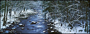 Stream in wintry forest. Great Smoky Mountains National Park (Panoramic color)