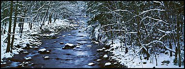 Pictures of Great Smoky Mountains