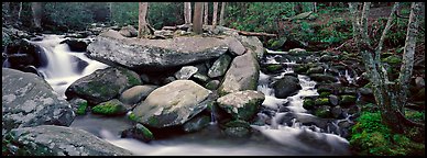 Cascading stream and boulders. Great Smoky Mountains National Park (Panoramic color)