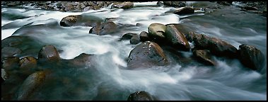 Boulders in river. Great Smoky Mountains National Park (Panoramic color)
