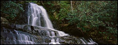 Waterfall in decidous forest. Great Smoky Mountains National Park, USA.