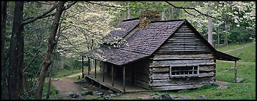 Pioneer cabin in the spring. Great Smoky Mountains National Park (Panoramic color)