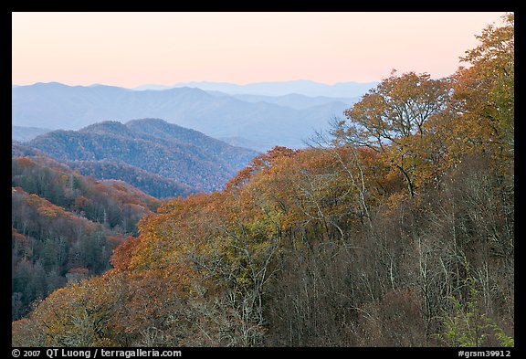 Ridge and mountains covered with trees in autuman foliage, dawn, North Carolina. Great Smoky Mountains National Park, USA.