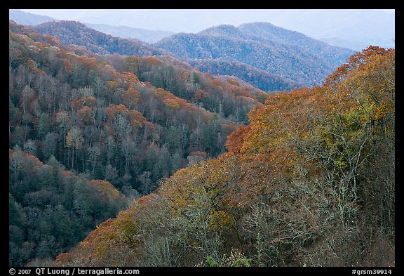 Ridges covered with deciduous trees in fall, North Carolina. Great Smoky Mountains National Park (color)