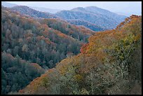 Ridges covered with deciduous trees in fall, North Carolina. Great Smoky Mountains National Park ( color)