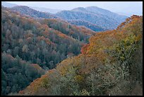 Ridges covered with deciduous trees in fall, North Carolina. Great Smoky Mountains National Park, USA.