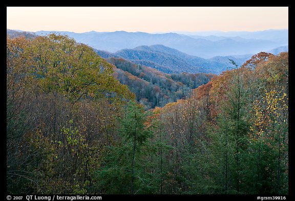 View over mountains in fall colors at dawn, North Carolina. Great Smoky Mountains National Park, USA.