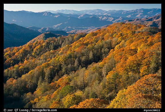 Ridges with trees in autumn foliage, North Carolina. Great Smoky Mountains National Park, USA.