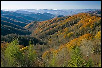 Vista of valley and mountains in fall foliage, morning, North Carolina. Great Smoky Mountains National Park ( color)