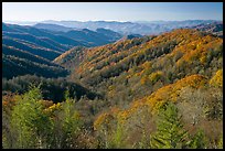 Vista of valley and mountains in fall foliage, morning, North Carolina. Great Smoky Mountains National Park ( color)