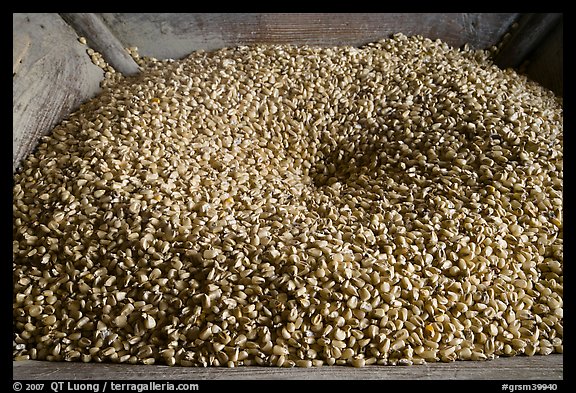 Corn loaded onto grist mill, Mingus Mill, North Carolina. Great Smoky Mountains National Park, USA.