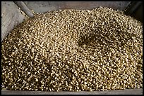 Corn loaded onto grist mill, Mingus Mill, North Carolina. Great Smoky Mountains National Park ( color)