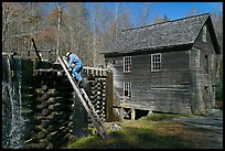 Miller climbing onto millrace, Mingus Mill, North Carolina. Great Smoky Mountains National Park, USA.