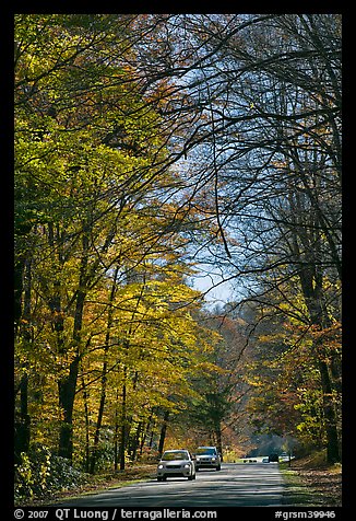 Cars on main park road with fall foliage, North Carolina. Great Smoky Mountains National Park, USA.